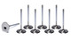 GM LS HS 2.200 Intake Valves