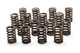 1.250 Valve Springs - SBC for 602 Crate Engine