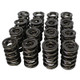 1.514 Dual Valve Springs