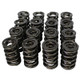 Dual Valve Springs - 1.640