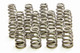 Beehive Valve Springs - LS1