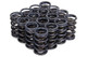 1.240 Dual Valve Springs