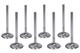 BBC SD Intake Valves 2.065 11/32 5.218 OAL