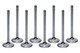 BBF R/M 1.900 Exhaust Valves