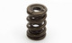 1.324 NexTek Dual Valve Springs