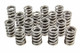 1.260 Single Valve Springs RPM Series (16)