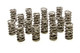 Dual Valve Springs - (16) GM LS