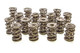 1.645 Triple Valve Springs (16)