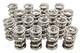 1.300 Dual Valve Springs (16)