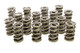 1.574 Dual Valve Springs - (16)