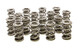 1.681 Triple Valve Springs (16)