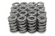 1.500 Dual Valve Springs (16)