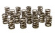 Valve Springs - HR Discontinued 04/06/21 PD