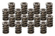 Valve Springs - HR Series (16)  1.555 Dual