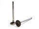 Exhaust Valve Discontinued 10/20/20 VD