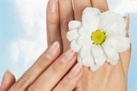 FACE AND BODY CARE (Sample)