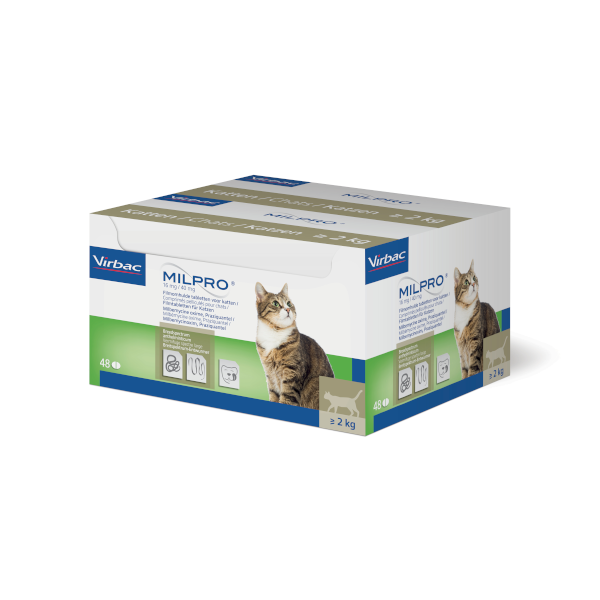Milpro kat 48 stuks
