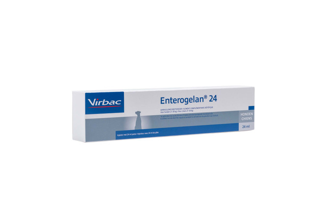 Enterogelan 24