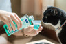 HQ_Vet-Aquadent_Unity-3_2025.jpg