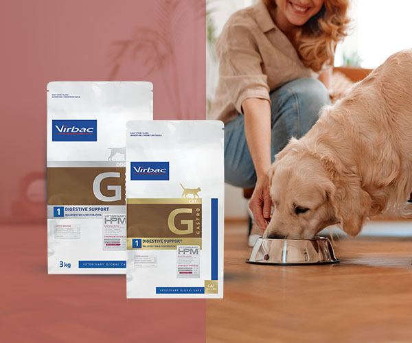 Gastrointestinal issues