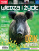 Wiedza i Zycie - Polish Magazine