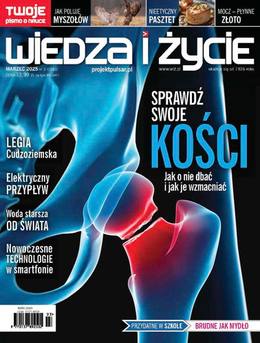 Wiedza i Zycie - 6 month subscription (Price Includes Shipping)