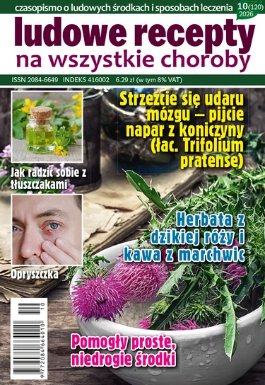 Ludowe Recepty - Polish Magazine