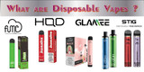 What are Disposable Vapes ?