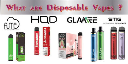 What are Disposable Vapes ?