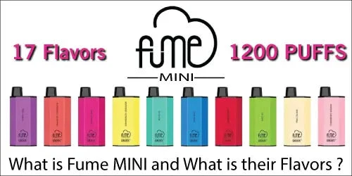 What is Fume MINI and What is their Flavors ?