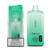 Spearmint Flavored Fume FRUITIA Disposable Vape Device - 8000 Puffs | everythingvapes.com -  1PC