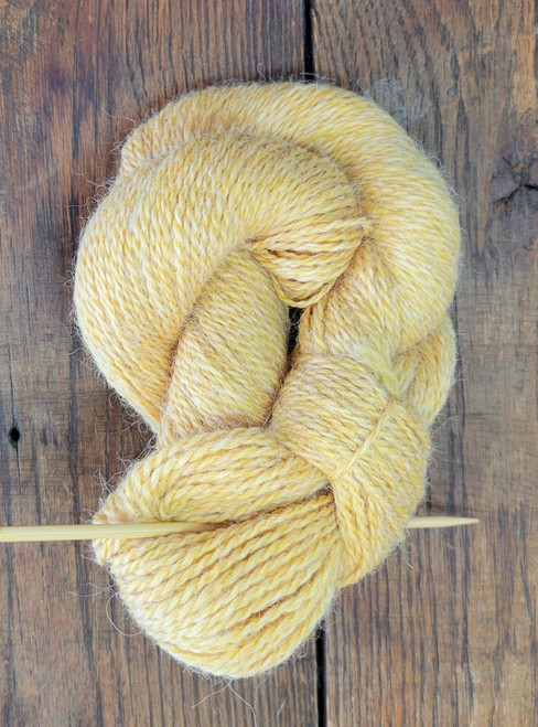 Goldilocks (Lot 307)