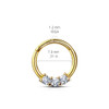 16 gauge High Quality Precision 3-CZ Set All 316L Surgical Steel Hinged Segment Hoop Rings, close-up of gold hoop with cubic zirconia stones and detailed measurements