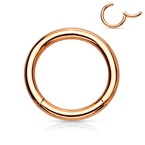 Rose gold Titanium Anodized High Quality Precision 316L Surgical Steel Hinged Segment Ring