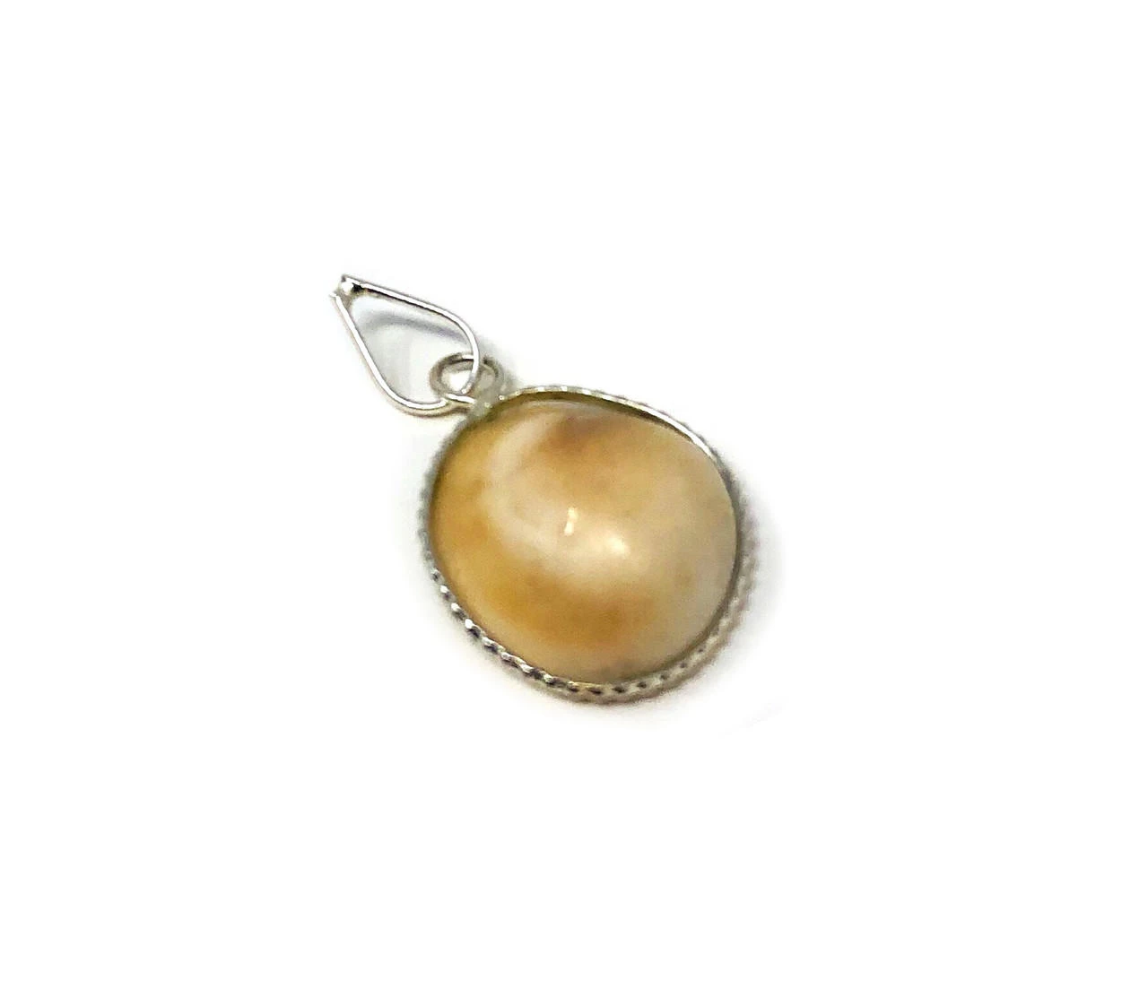 Gomti Chakra/ Shiva Eye 20-25mm Pendant