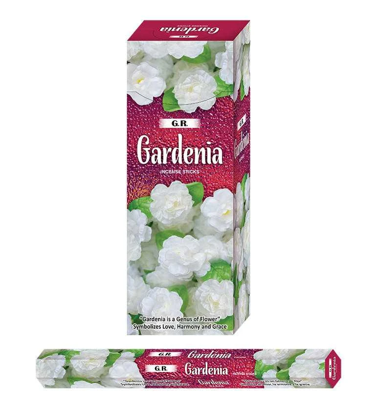 GR Gardenia (pack of 6)