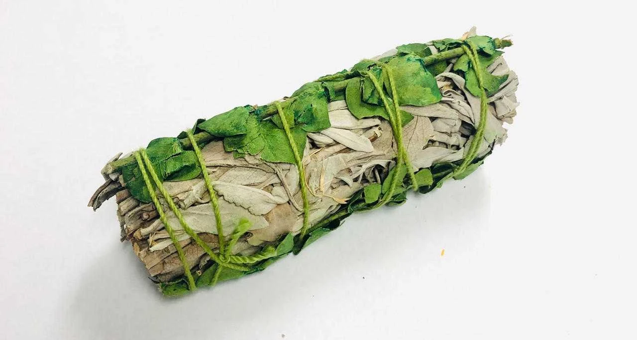 White sage smudge with green Eucalyptus 4
