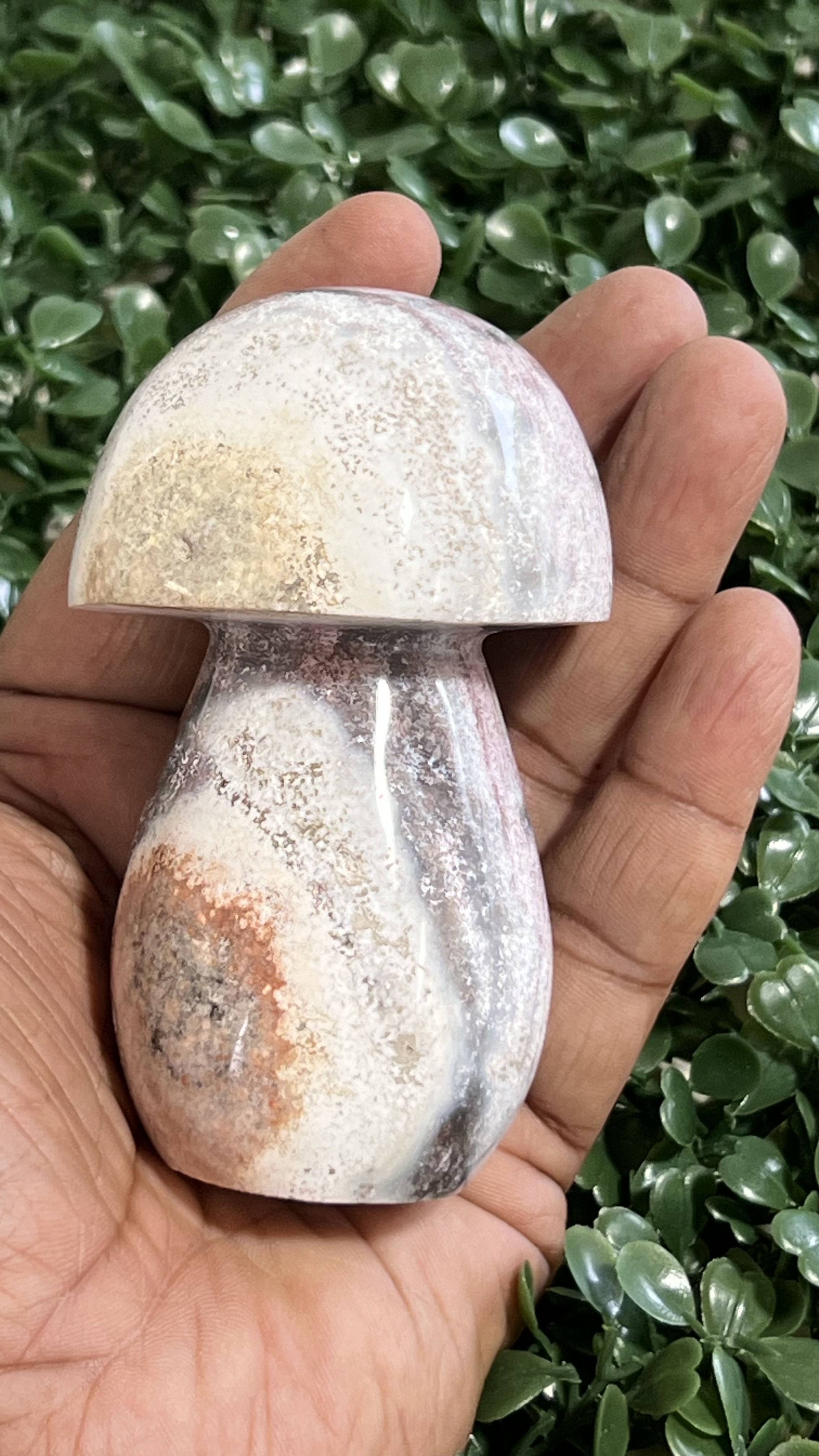 Ocean Jasper Mushroom 2-3"