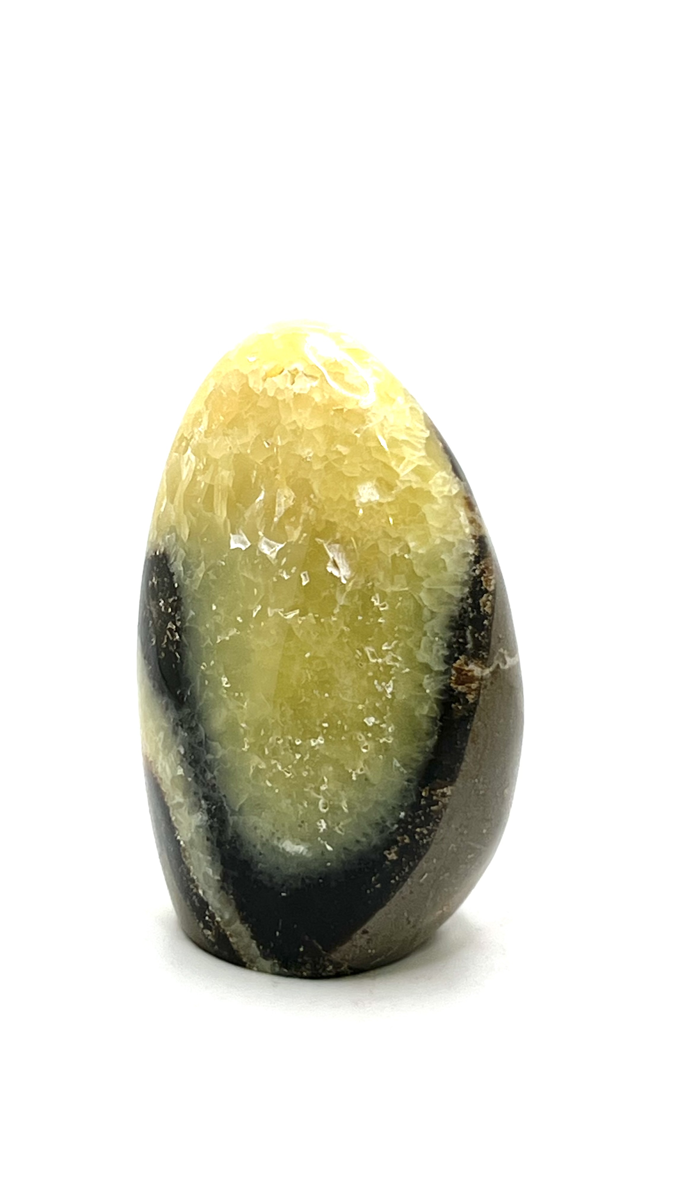 Yellow Septarian Free Form 3-4" New Arrivals