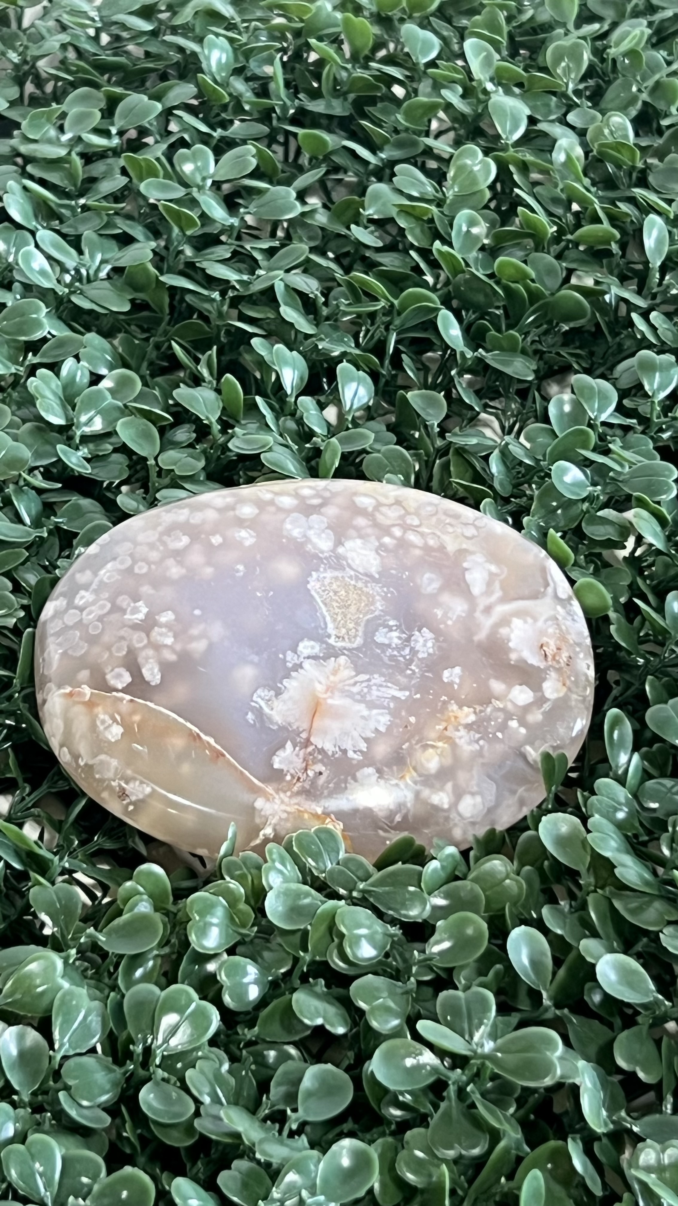 Cherry Blossom Agate Palm Stone 3-4"