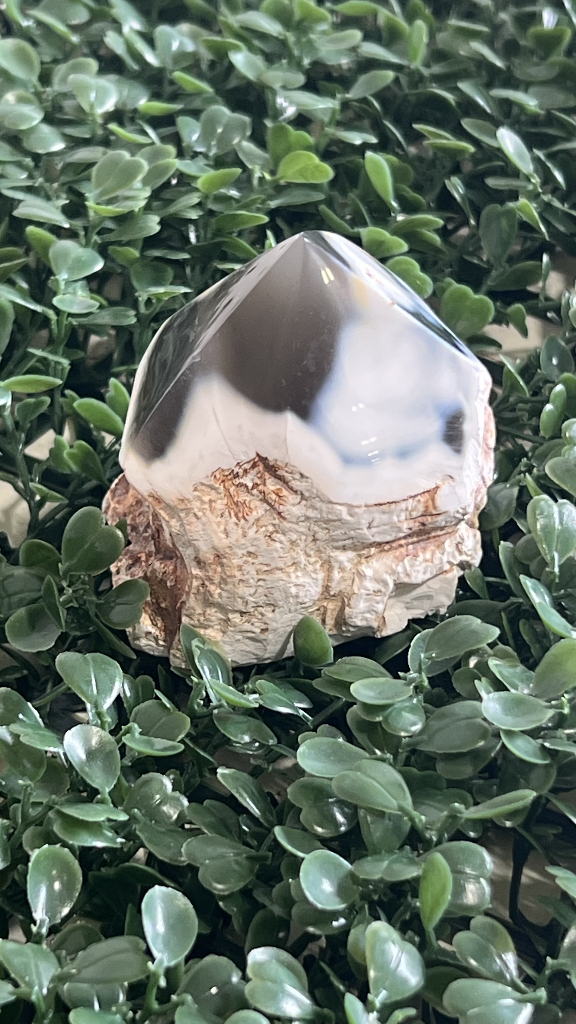 Orca Agate Rough Point 3-4"