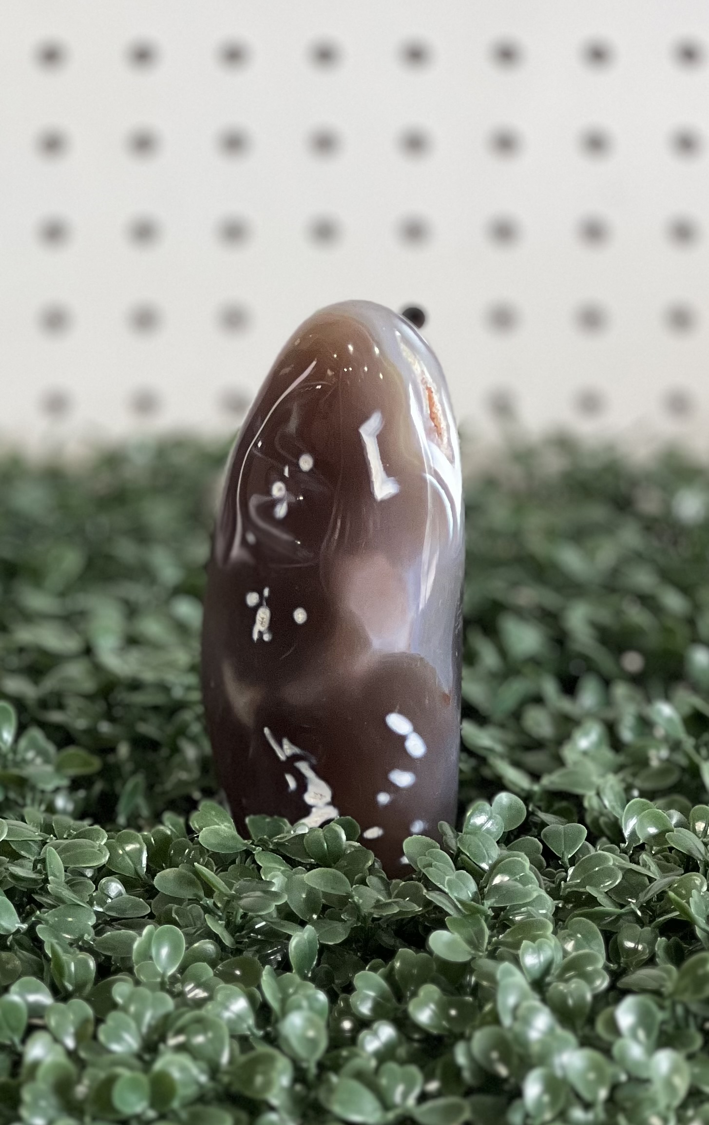Orca Agate Free Form 3-5"
