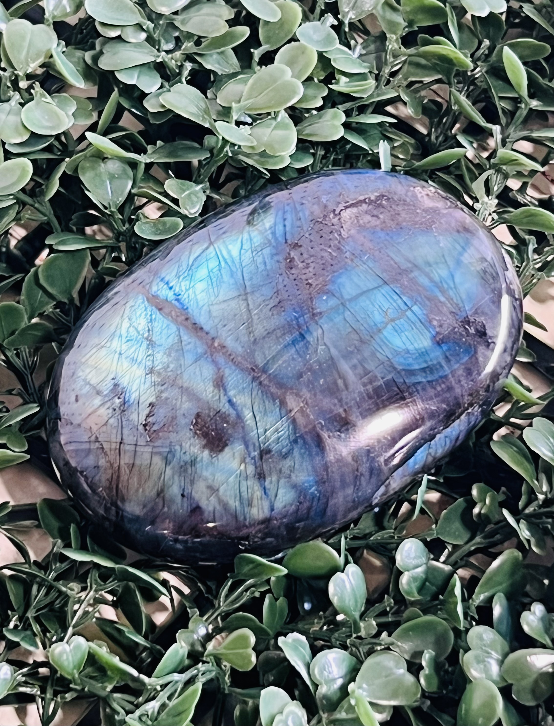 Labradorite Palm Stone 4-5" New Arrivals