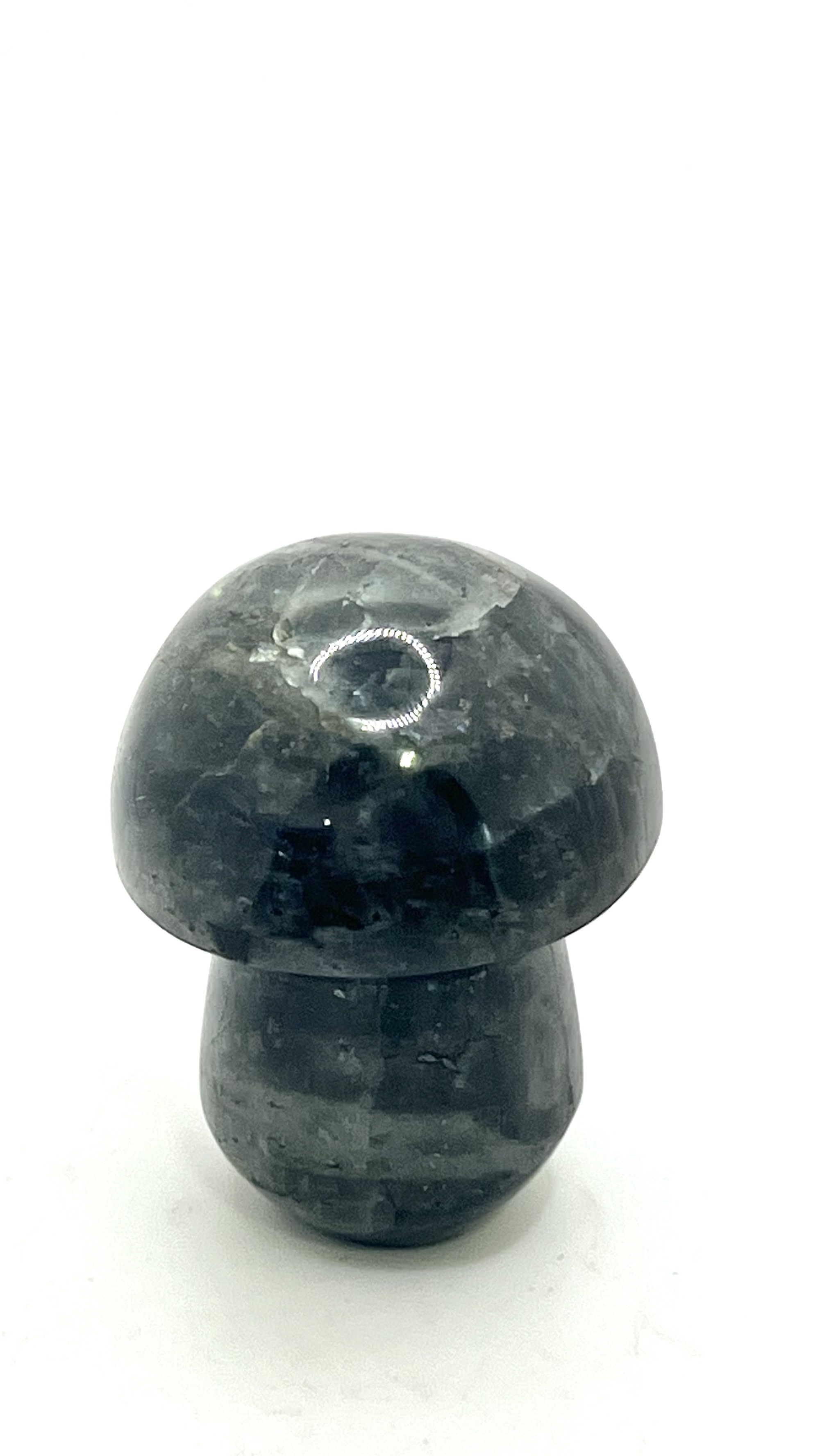 Labradorite Mushroom 1.5-2" New Arrivals