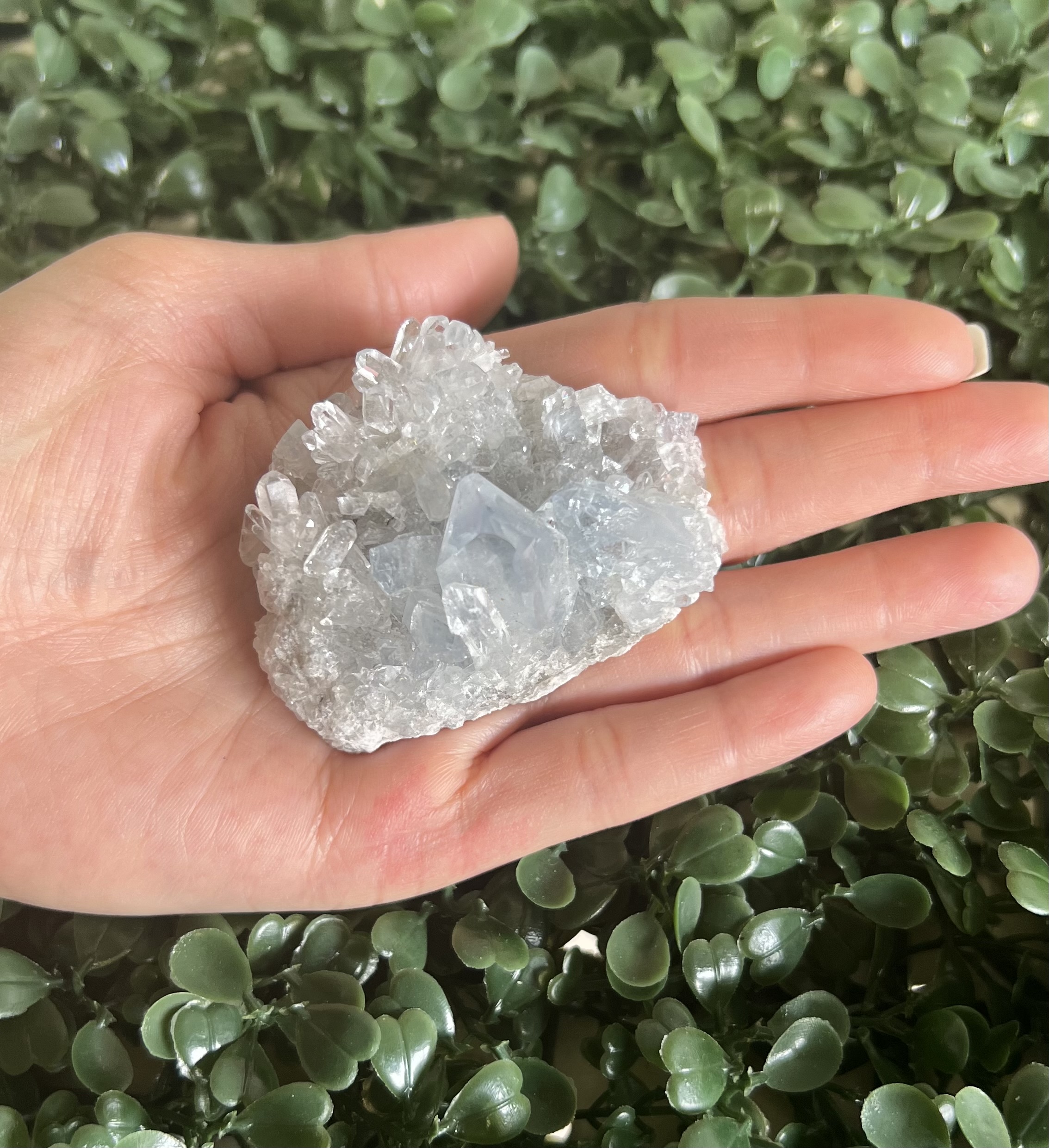 Celestite Cluster 2''