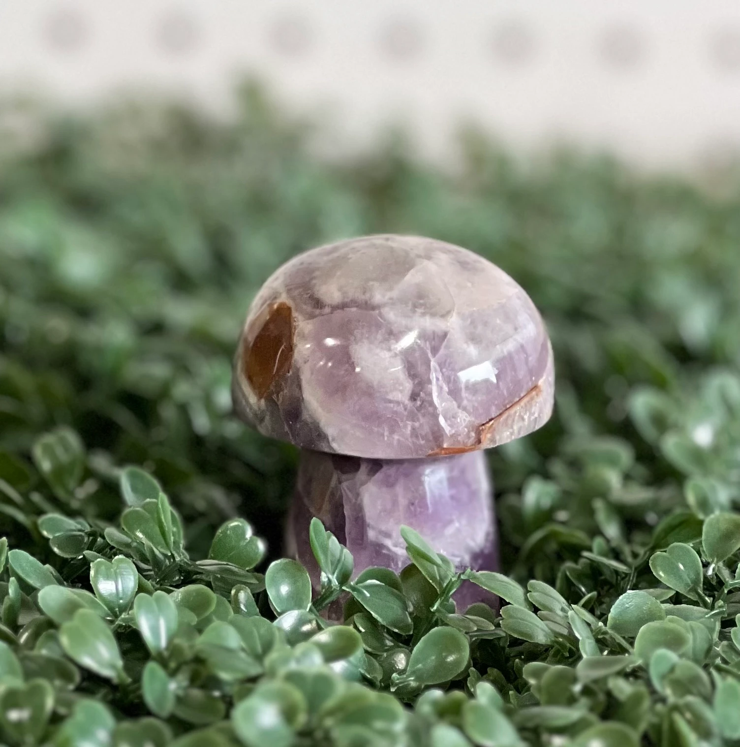 Chevron Amethyst Mushroom 3-4"
