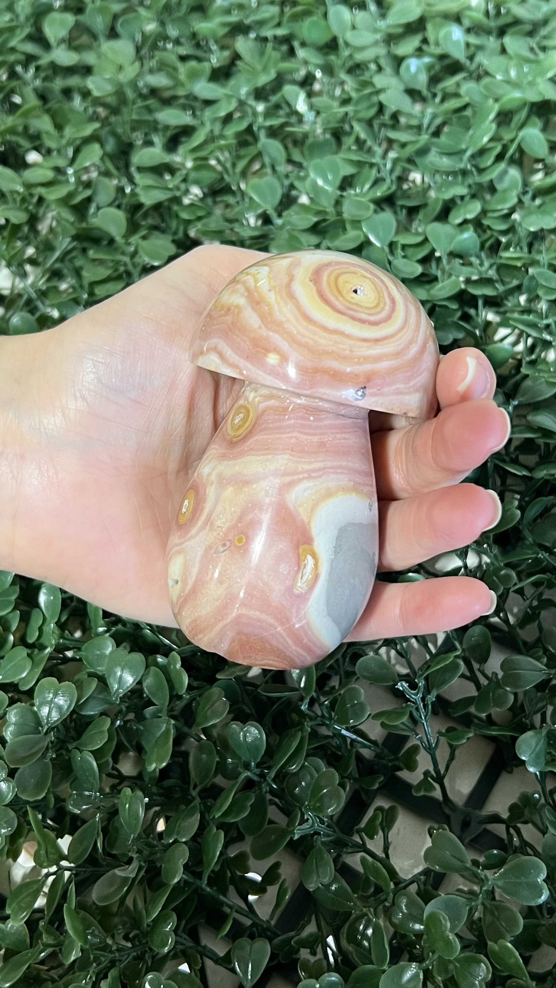 Polychrome Desert Jasper Mushroom 4-5"