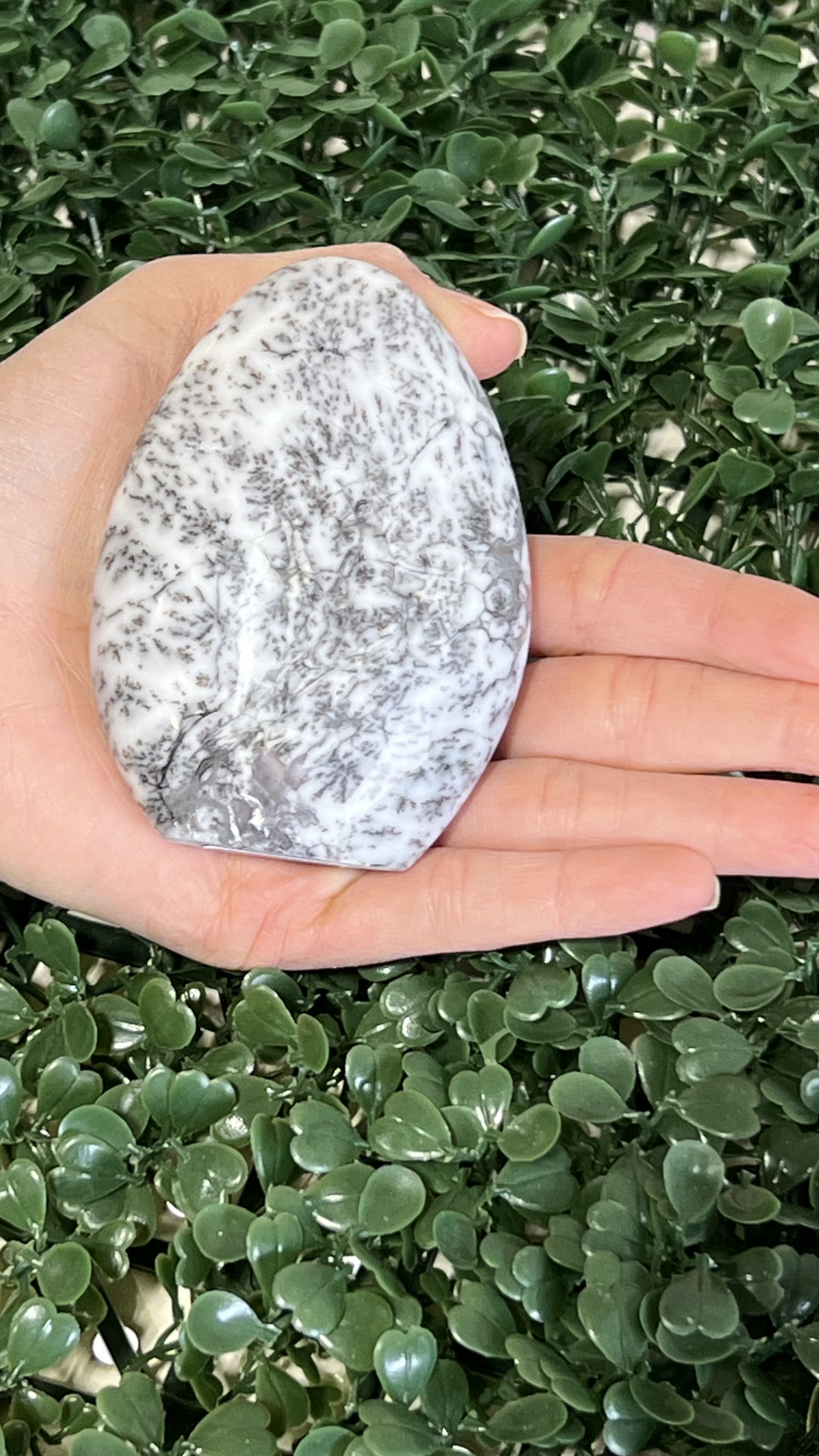 Dentritic Opal Free Form 3-4"