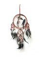 Dream Catchers with Terracota 7 inch