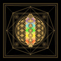 Altar Tarot Cloth 7 Chakra Flower of Life approx. 24"x24"